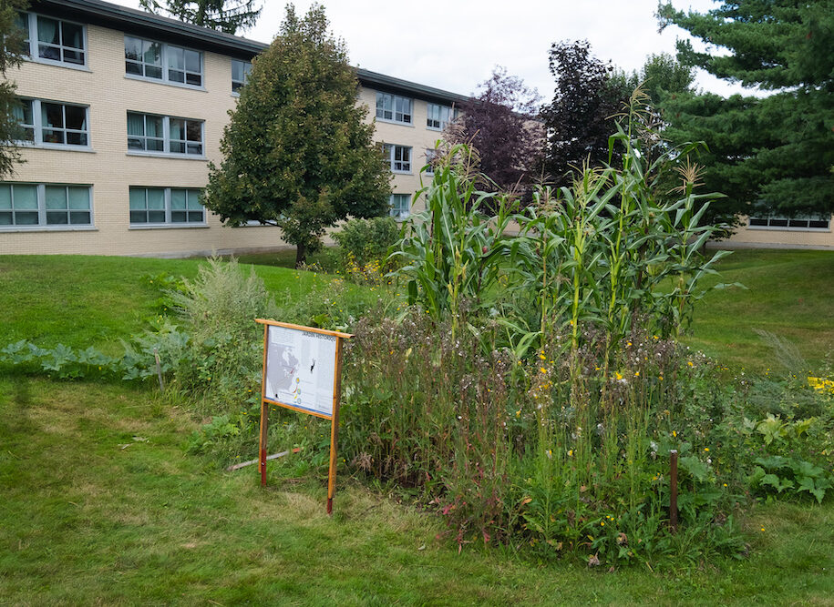 Jardins autochtone de l'Université de Sherbrooke