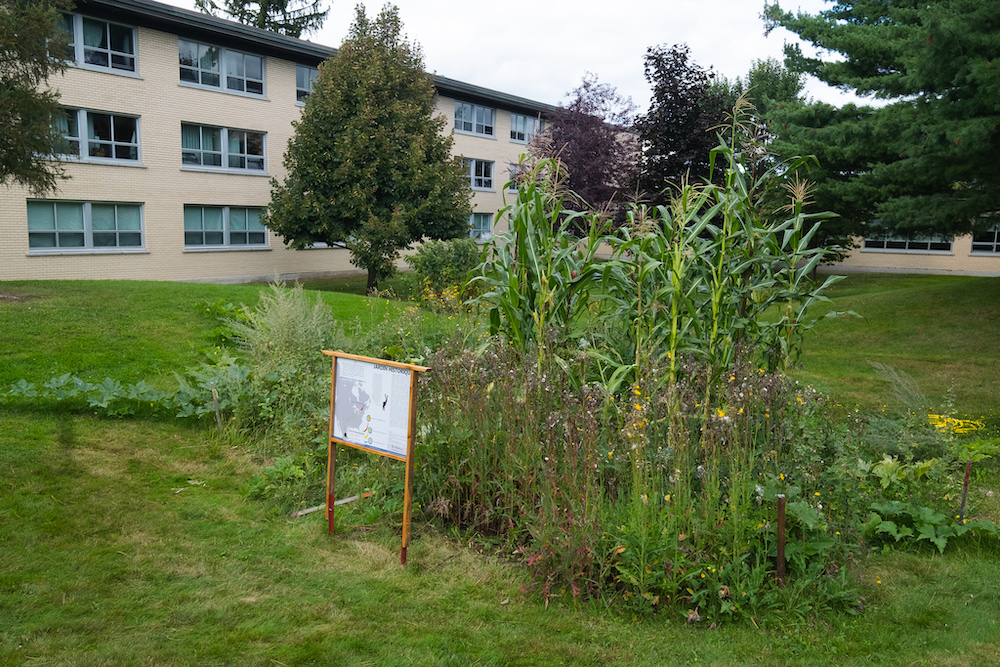 Jardins autochtone de l'Université de Sherbrooke