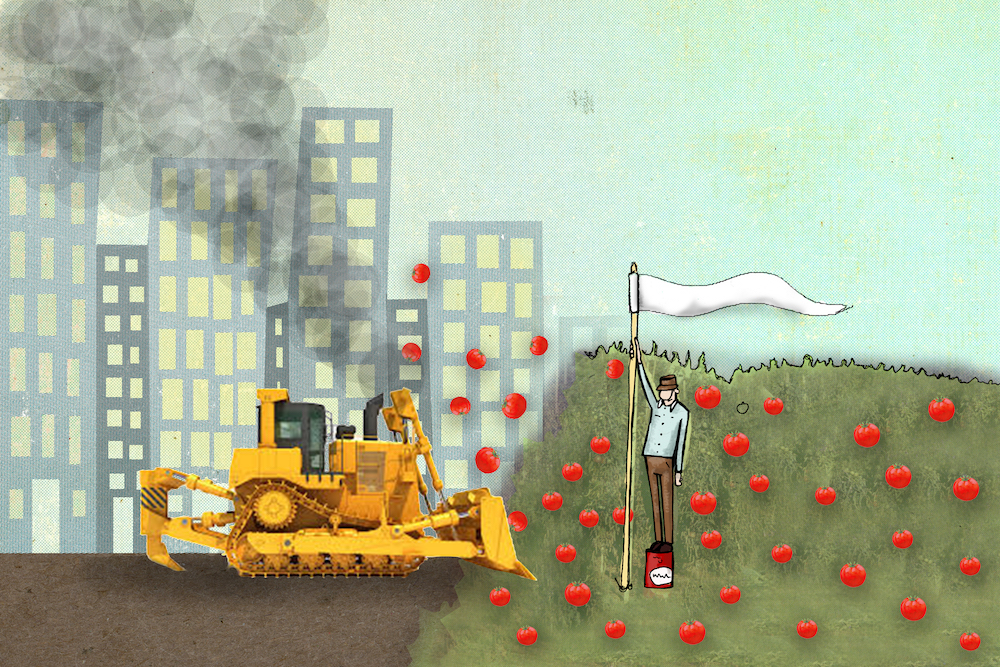 Illustration Armand Savignac_Matthieu Goyer