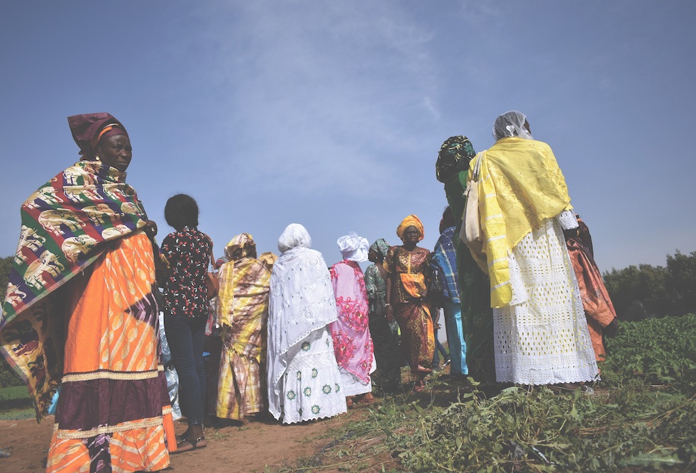 Femmes rurales au Sénégal