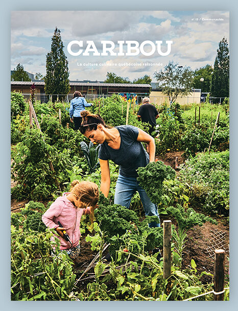 Magazine Caribou - Numéro 13 - Communautés