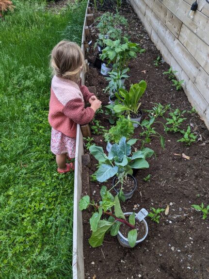 jardinage