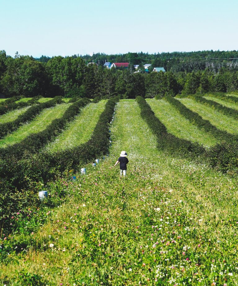 sorties gourmandes, agrotourisme, sorties agrotouristiques