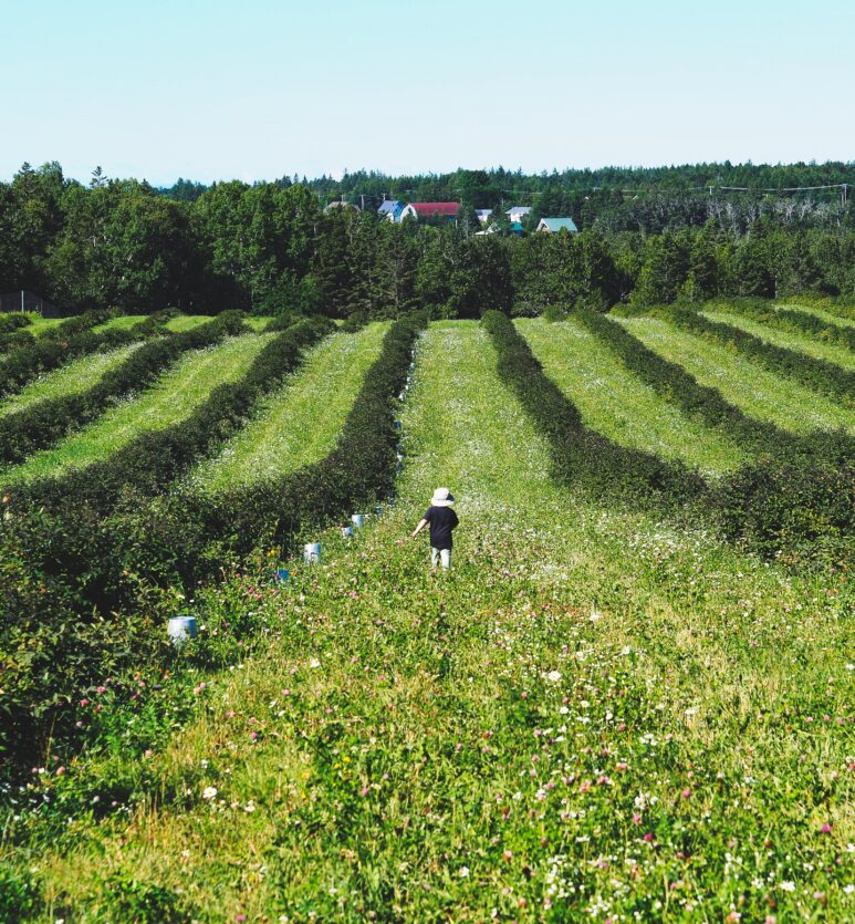 sorties gourmandes, agrotourisme, sorties agrotouristiques