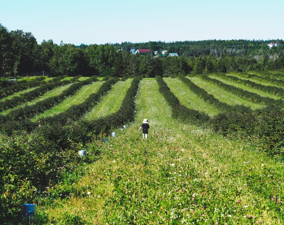 sorties gourmandes, agrotourisme, sorties agrotouristiques