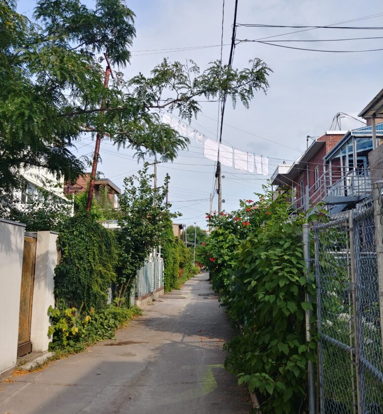 ruelles