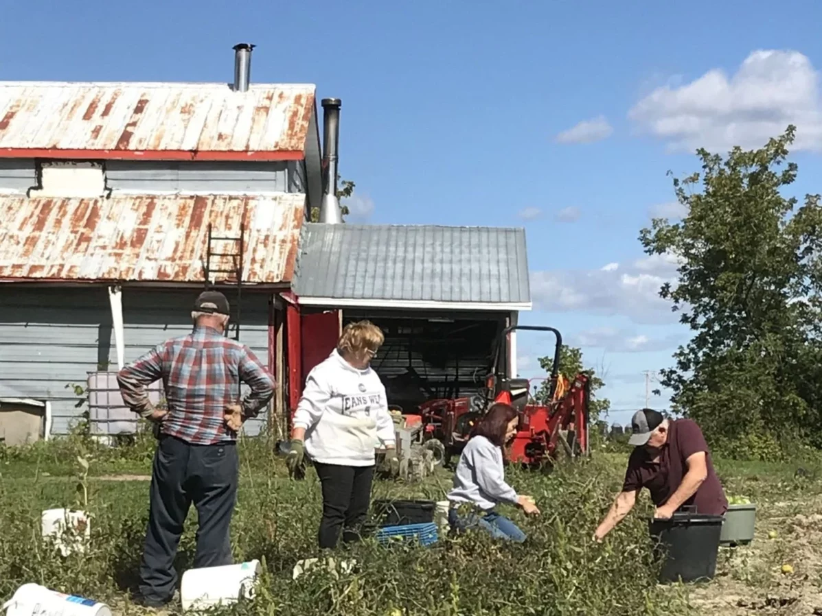 agriculture