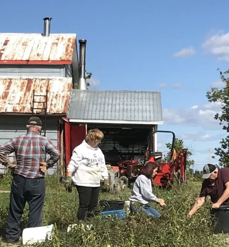 agriculture