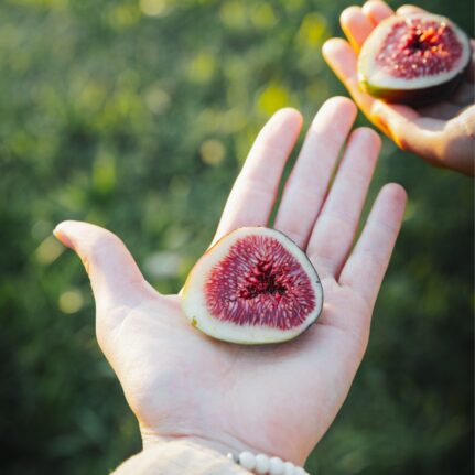 figues du québec
