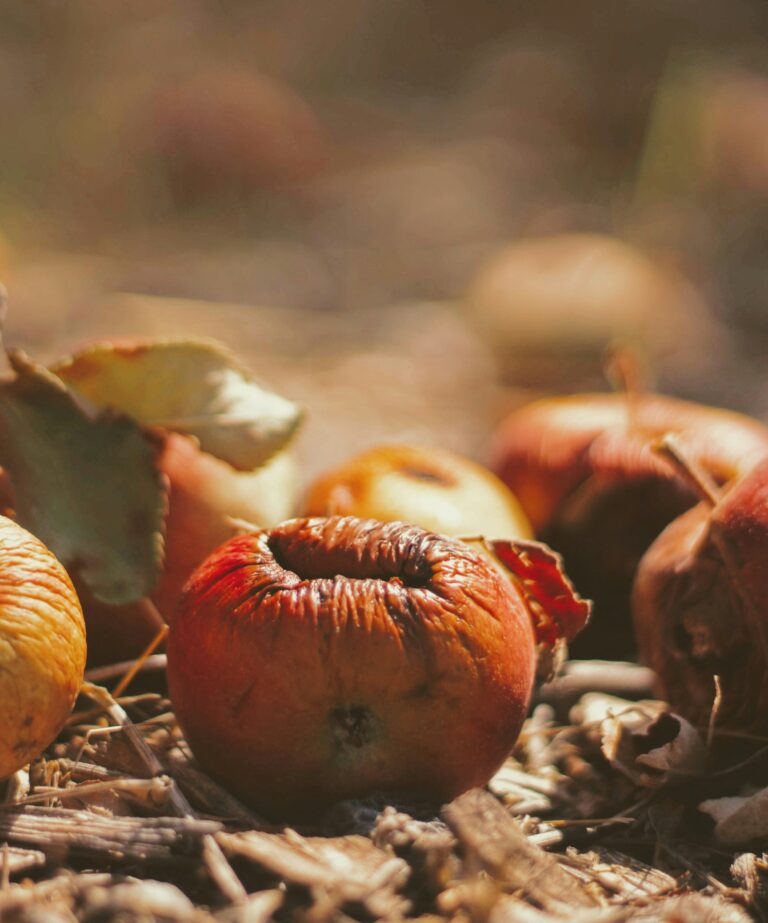 origines de l'Halloween