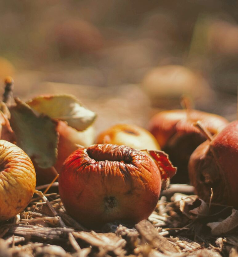 origines de l'Halloween