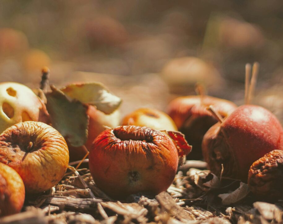 origines de l'Halloween