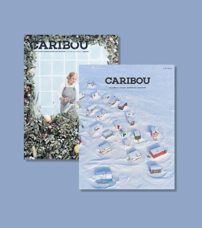 Duo du mois de février: Nordicité + Climat