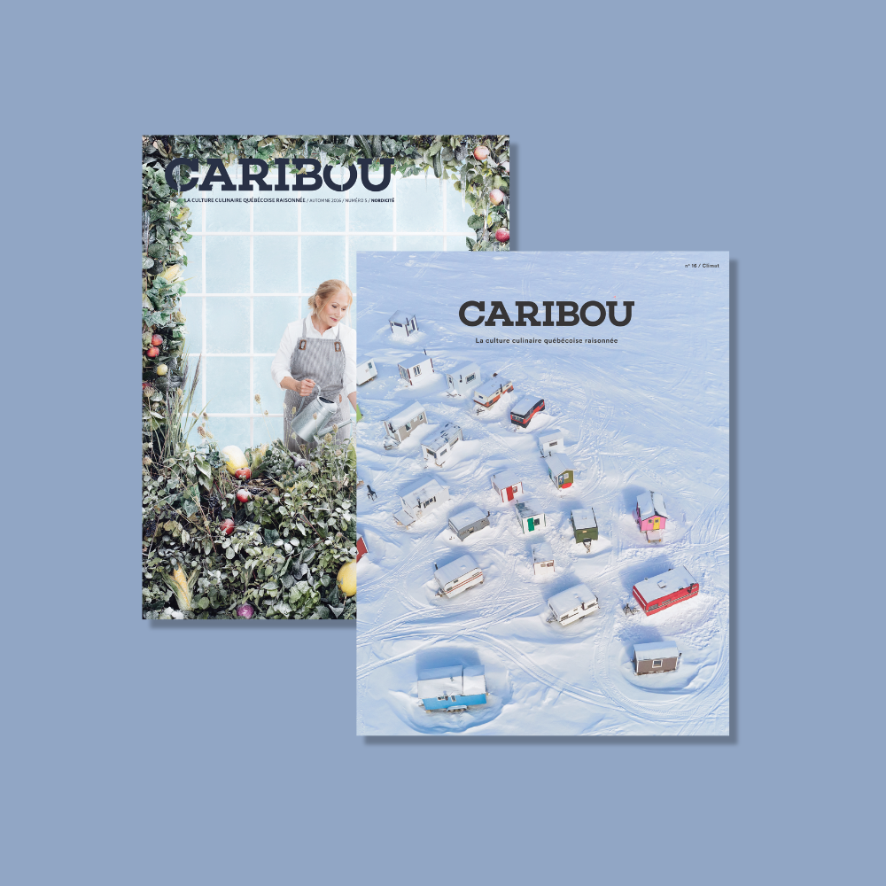 Duo du mois de février: Nordicité + Climat