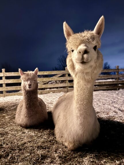 agrotourisme en hiver