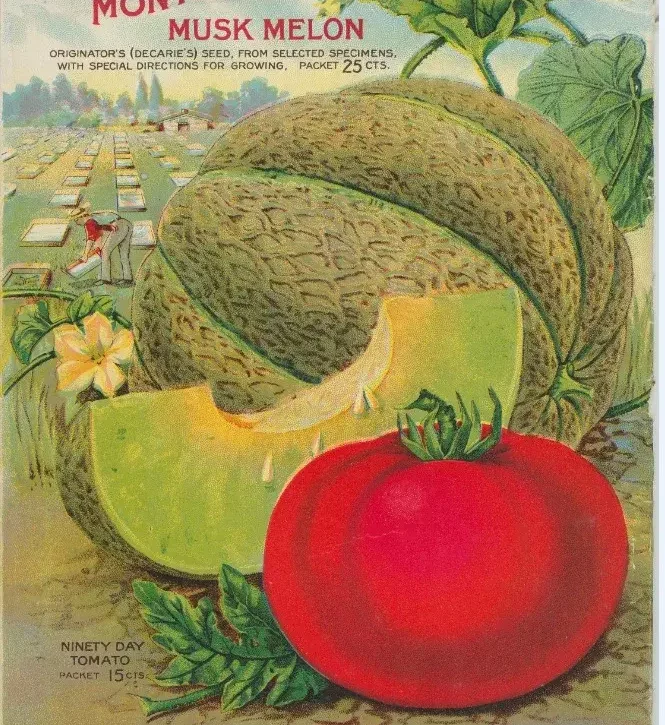 aliments originaux