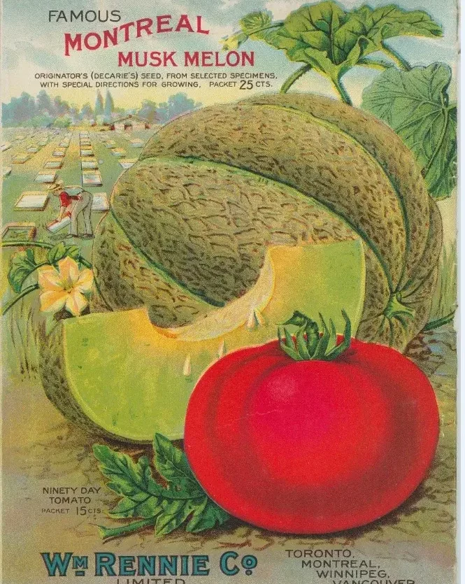 aliments originaux