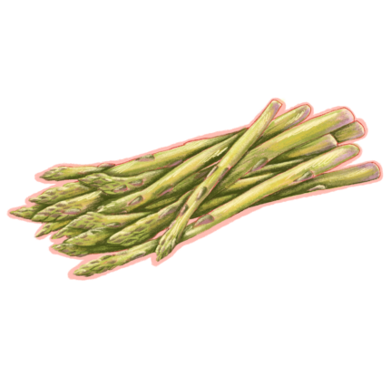 Asperges_ Mauricie