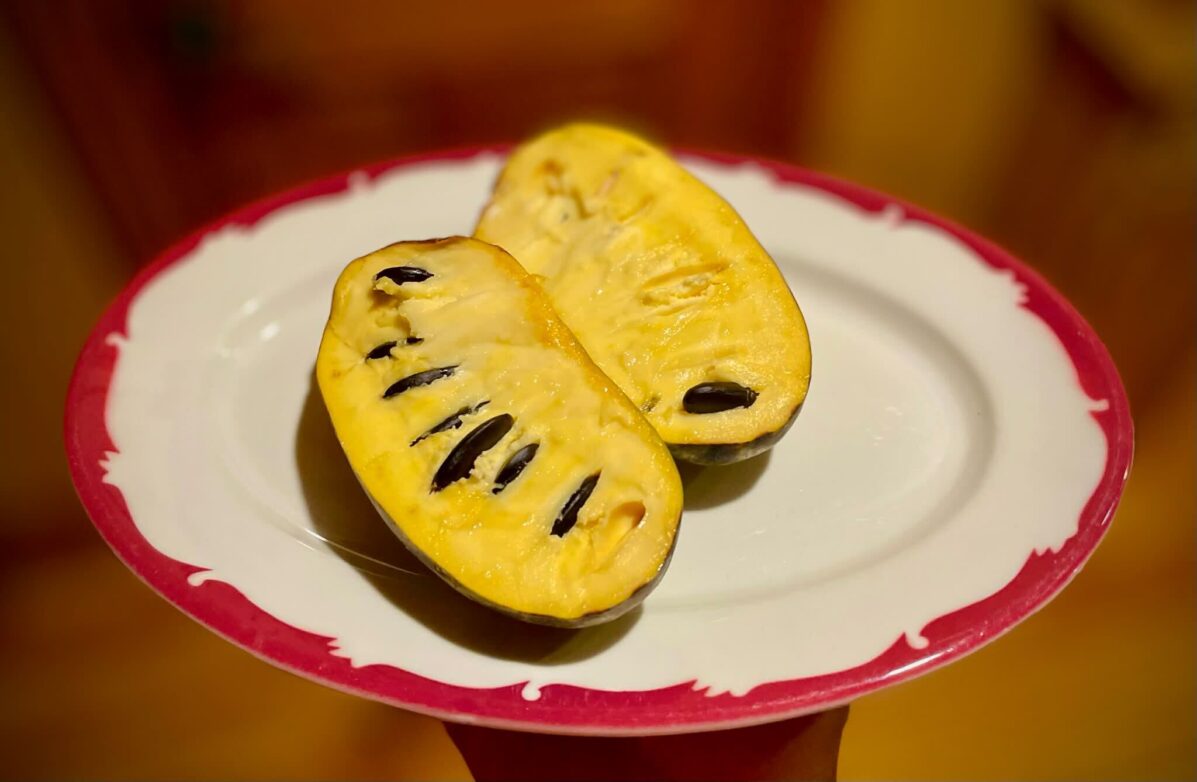 pawpaw