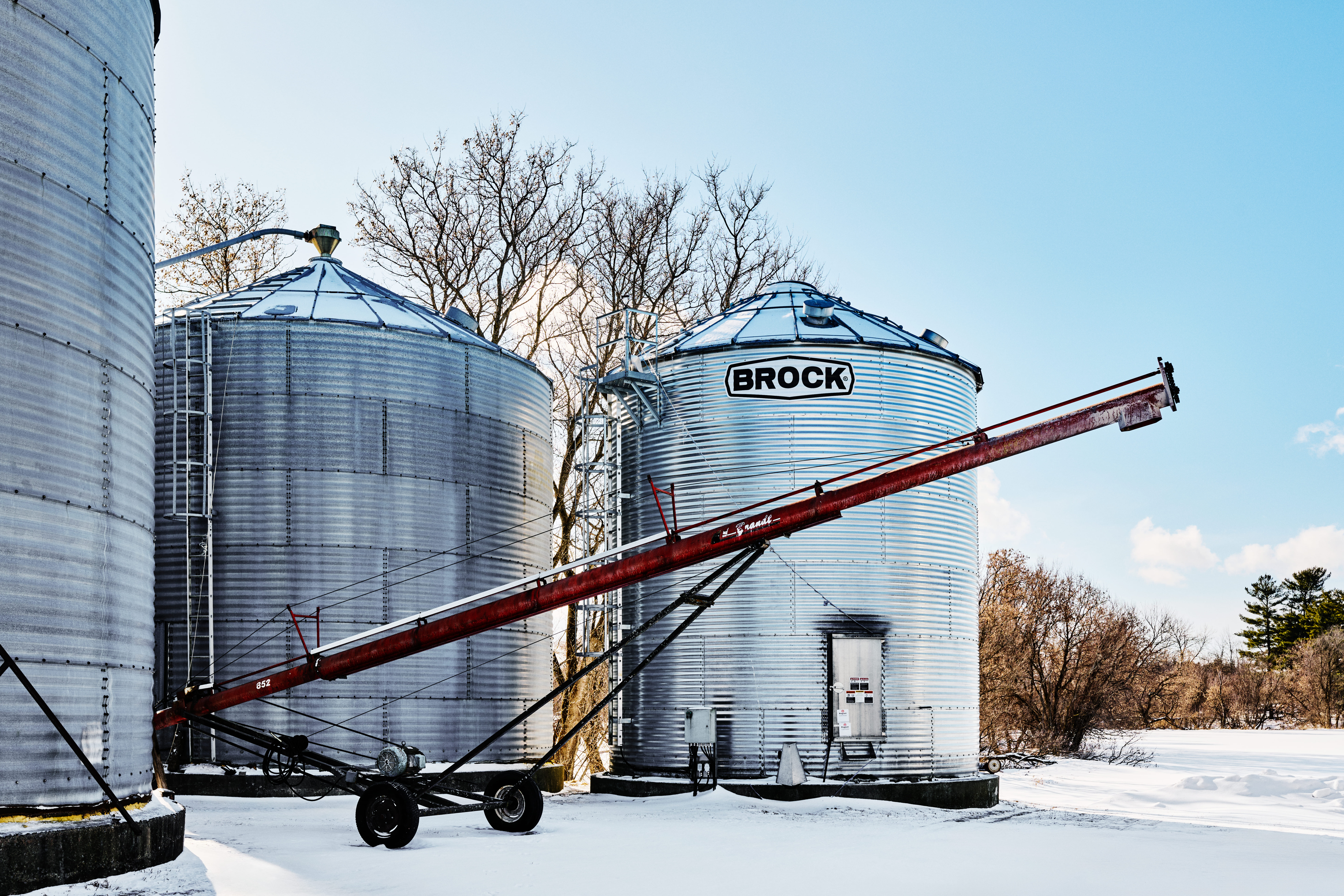 grains du québec