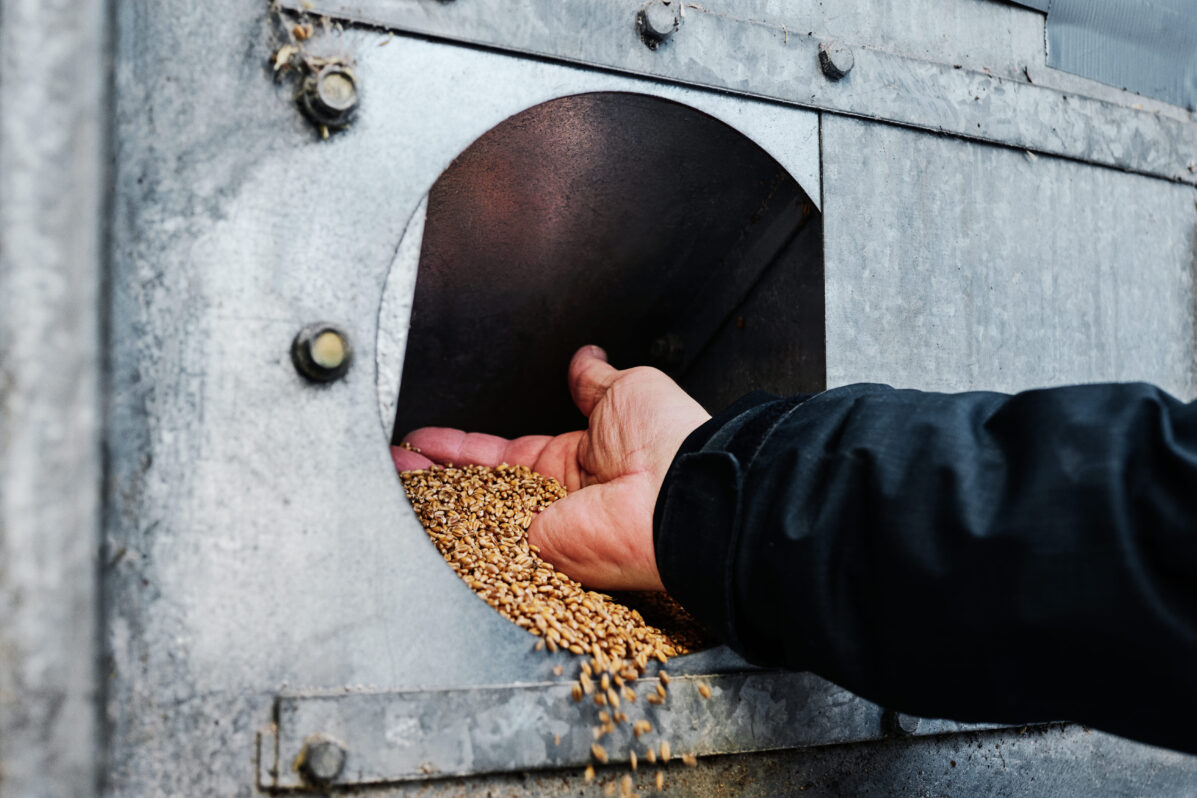 grains du Québec