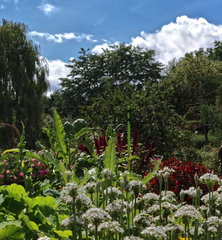 Parc Marie-Victorin