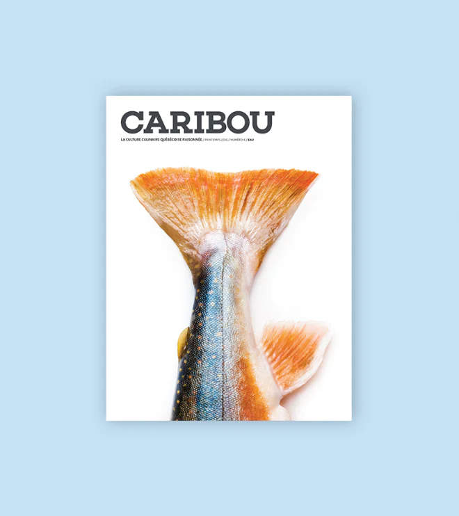 Caribou_numéro 4_Eau