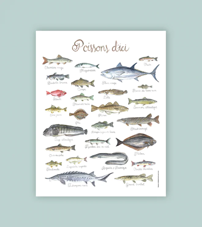 Affiche Poissons d'ici