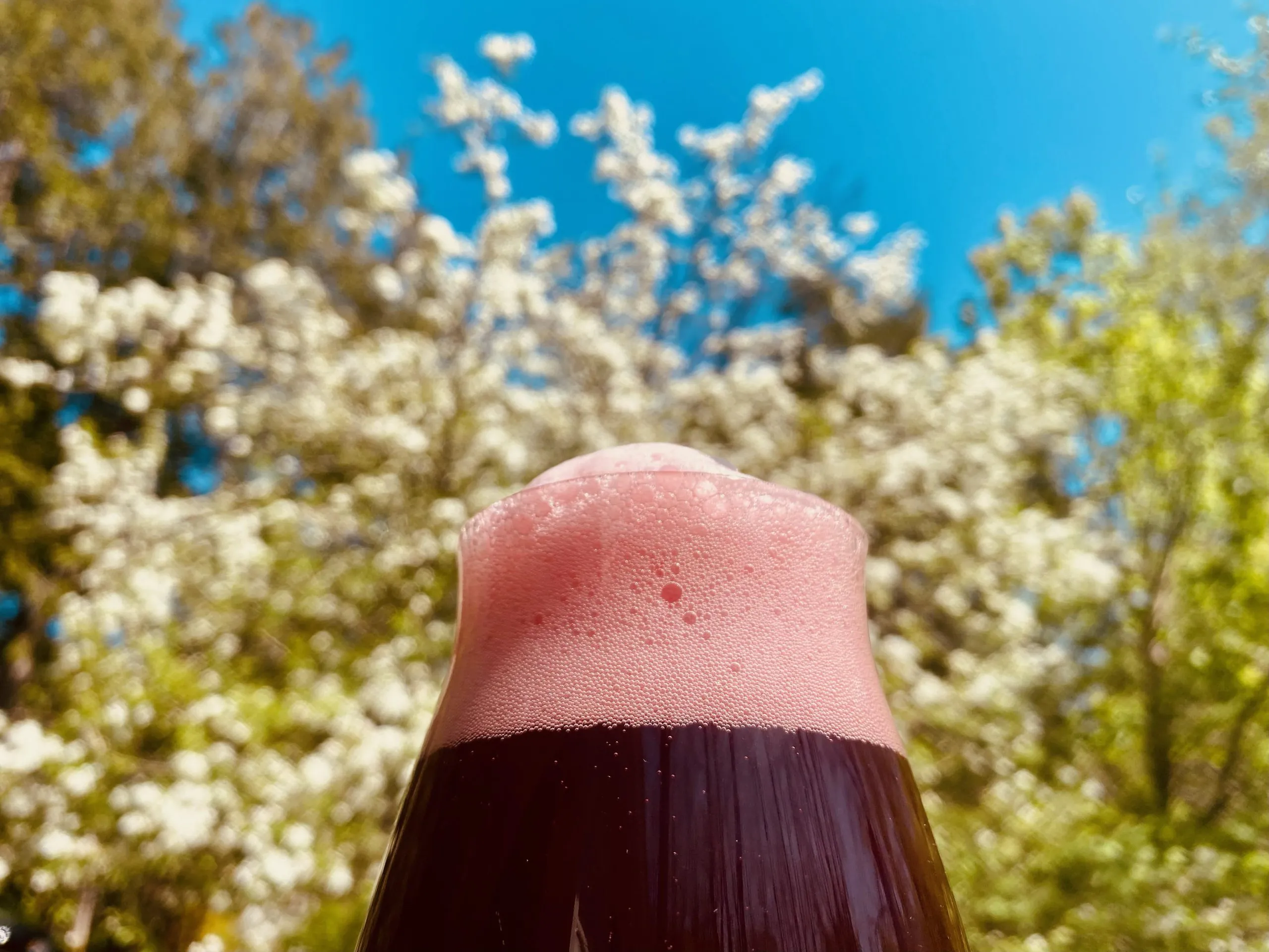 bière à la camerise