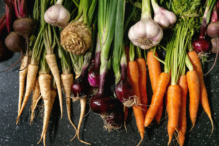 Cuisiner les légumes racines