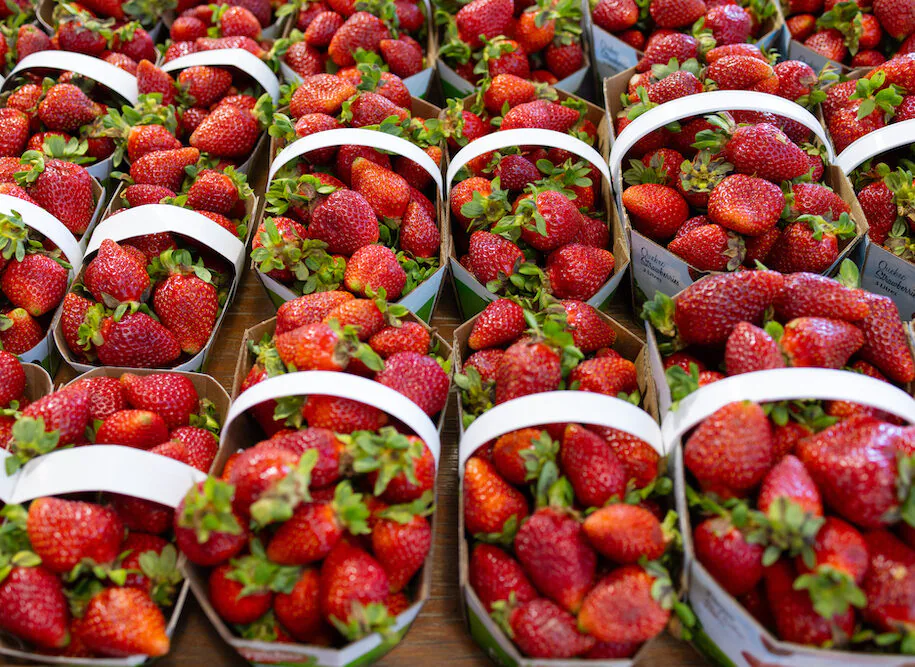 Fraises du Québec