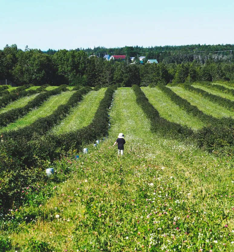 sorties gourmandes, agrotourisme, sorties agrotouristiques